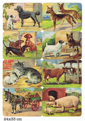 Printed in Germany domestic animals square educational scraps.jpg