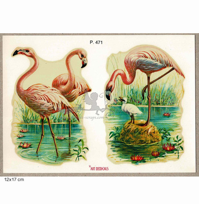 Water decals P 471 flamingo.jpg