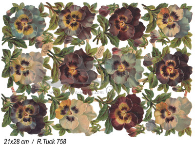 R.Tuck 758 violets.jpg