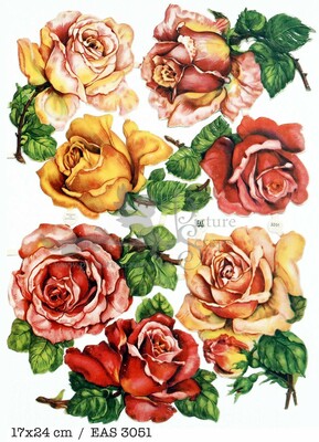 EAS 3051 b roses.jpg