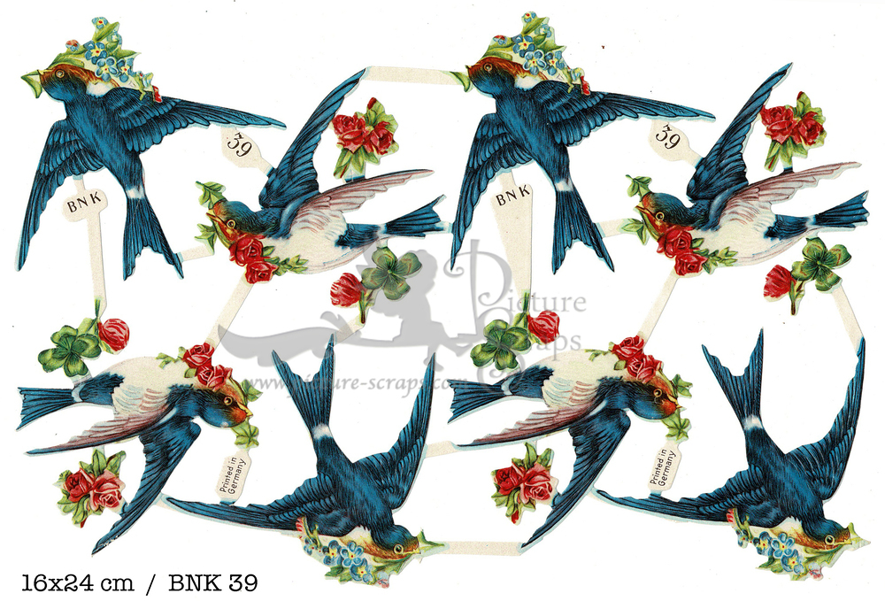 BNK 39 swallows.jpg
