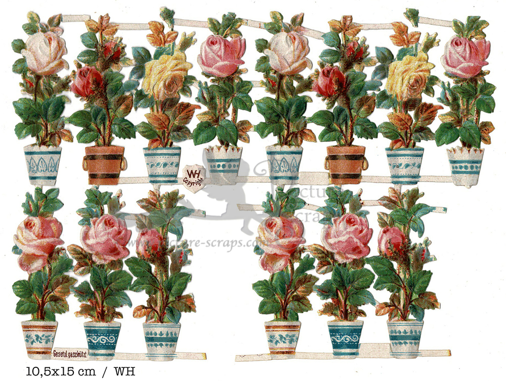 WH flowers in pots 10.5x15.jpg