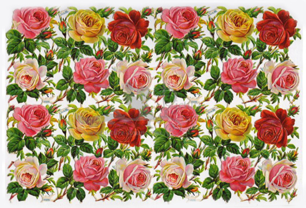 L&B 31899 roses.jpg