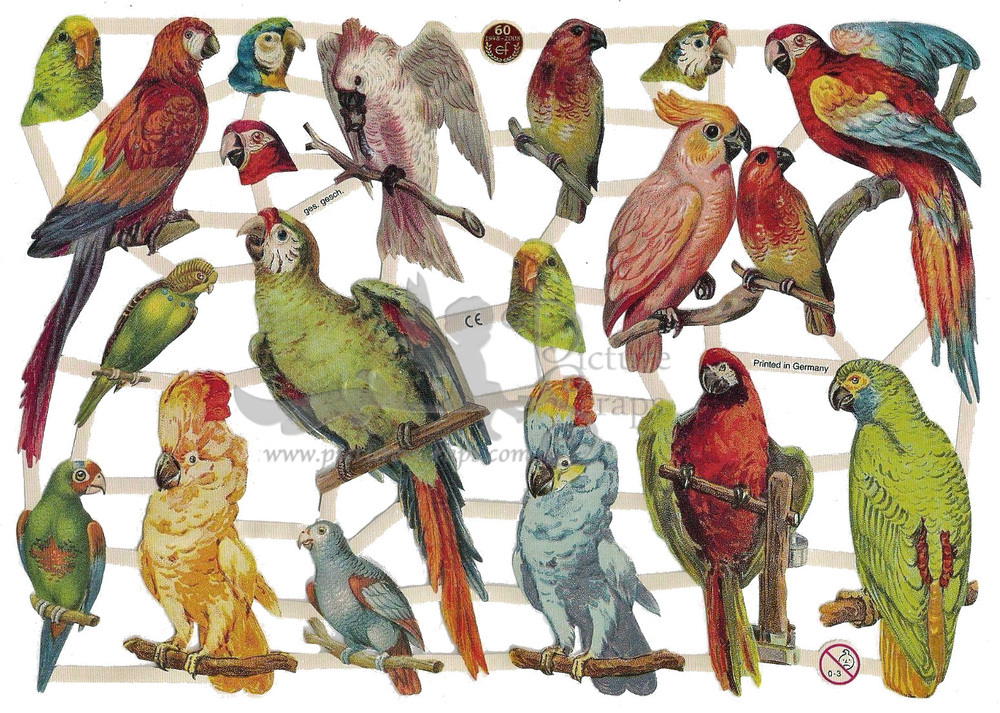 EF 7303 coloured birds.jpg