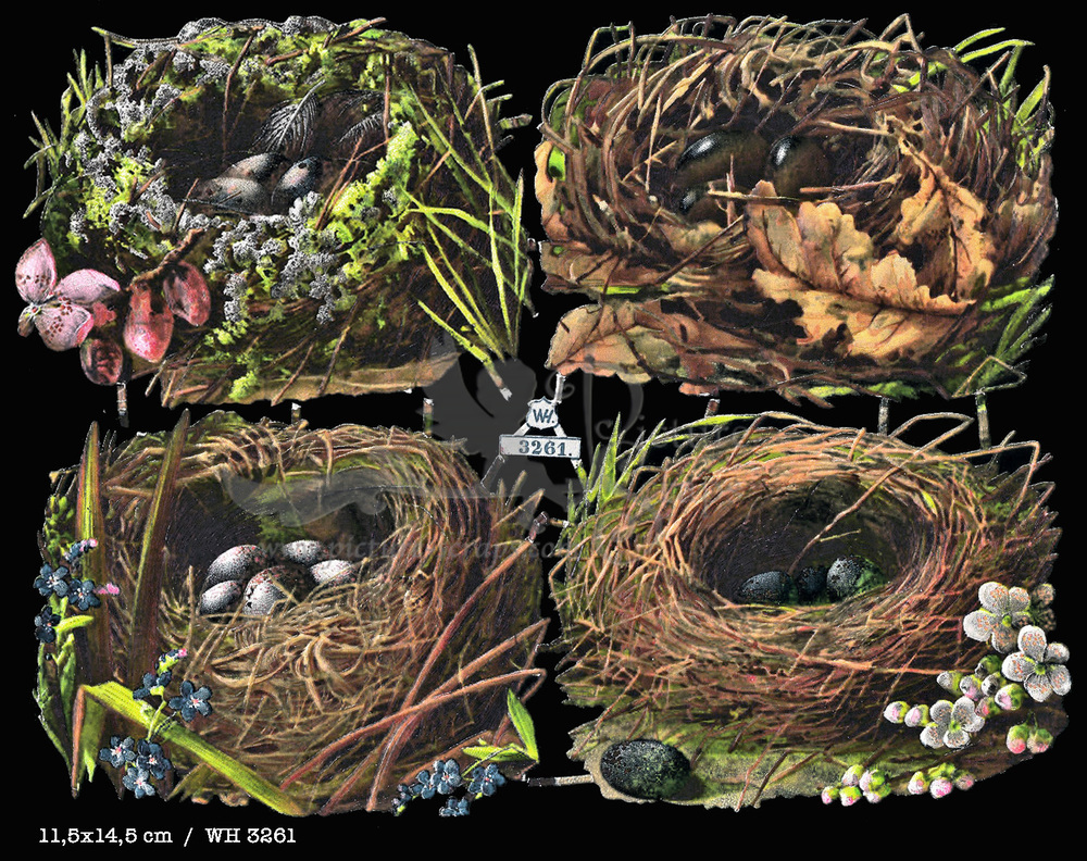 WH 3261 birds nests.jpg
