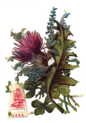 R.Tuck 1824 flower.jpg