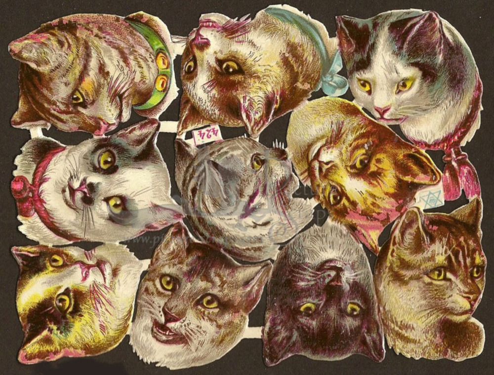 Priester & Eyck 424 cats heads.jpg