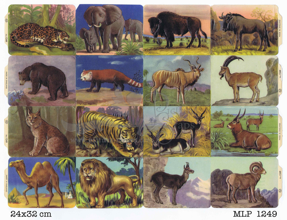 MLP 1249 fullsheet wildlife like mlp 888.jpg