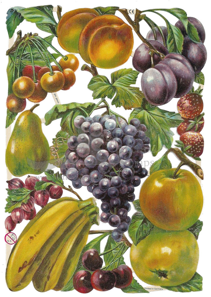 EF 7311 Fruit Banana's, Grapes, Plums.jpg