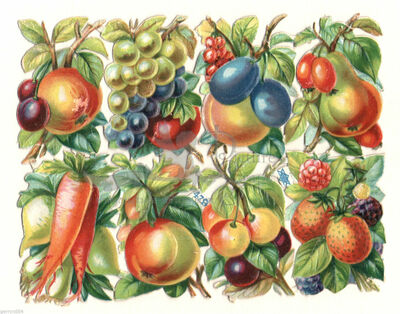 Priester & Eyck 479 fruits.jpg