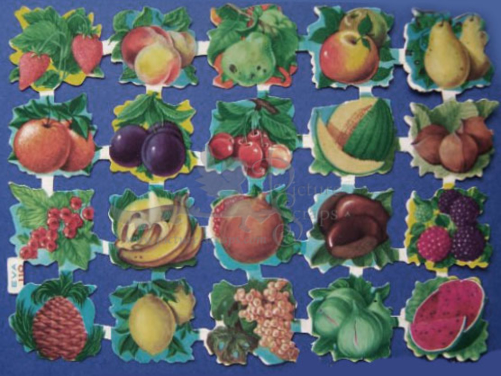 EVA 110 fruits.jpg