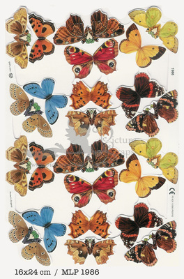 MLP 1986 butterflys.jpg