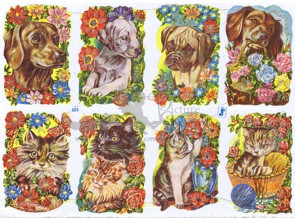 WS 604 cats and dogs.jpg