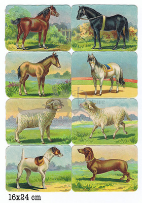 L&B horses sheep dogs aquare educational scraps.jpg