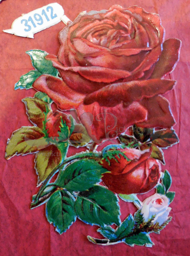 L&B 31912 rose.jpg