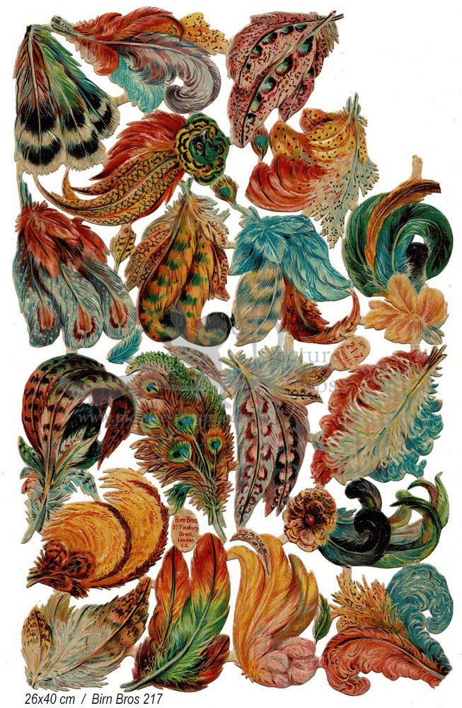 Birn Bros 217 colorful feathers.jpg