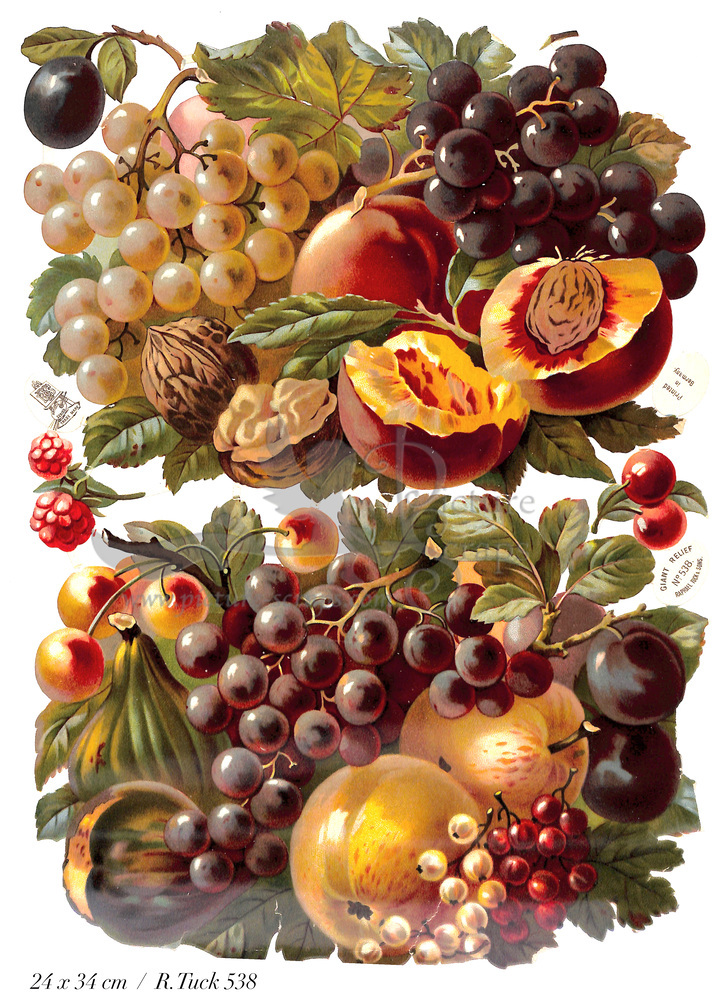 R.Tuck 538 fruits.jpg