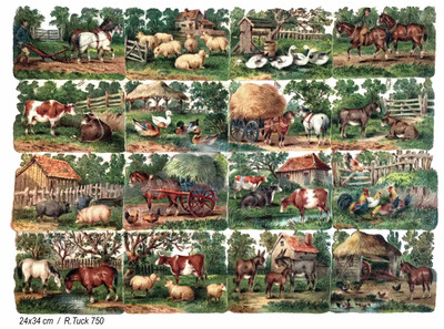 R.Tuck 750 farm.jpg