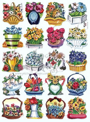 EVA 111 flowers in pots.jpg
