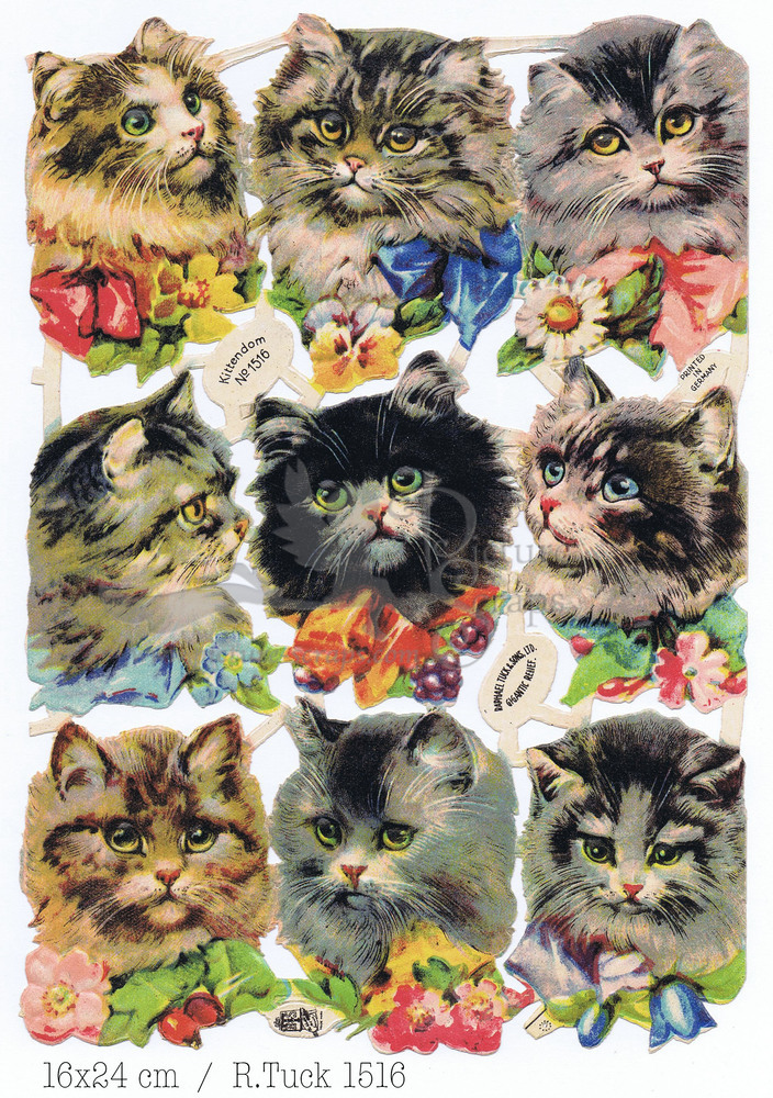 R.Tuck 1516 cats.jpg