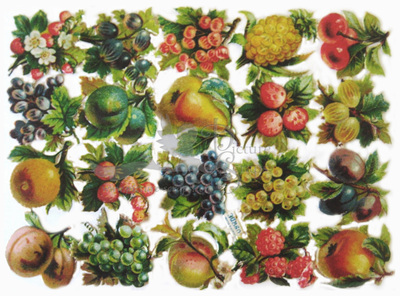 L&B 30860 fruits.jpg