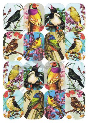 Kruger 98.149 birds.jpg