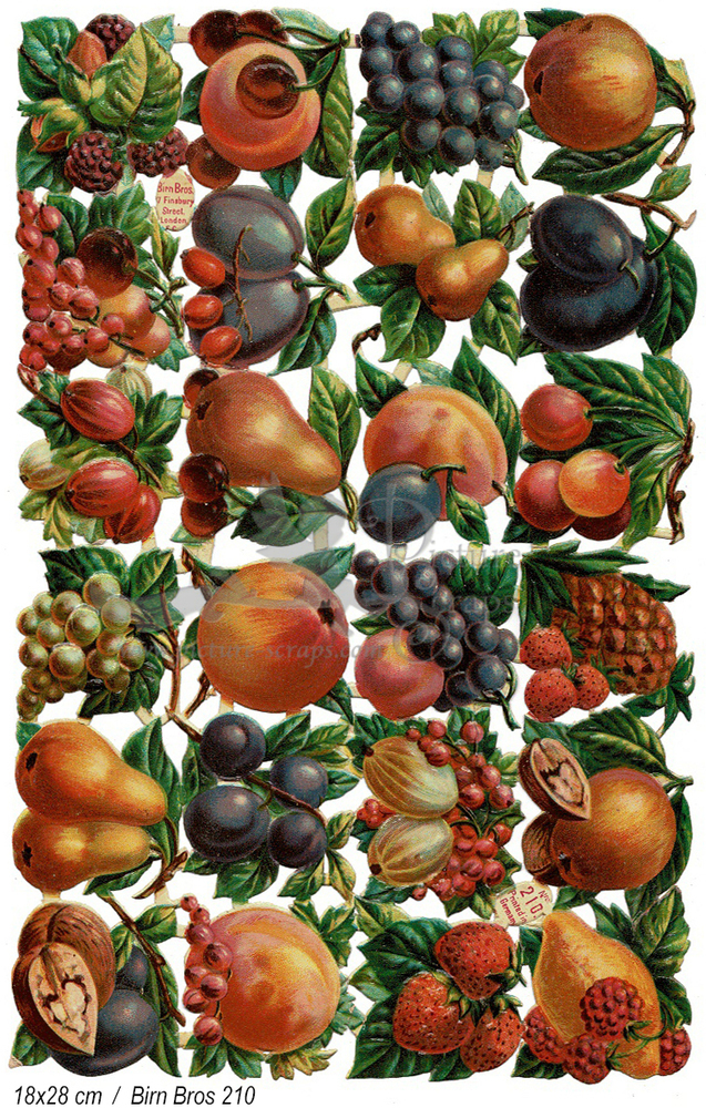 BB 210 fruits.jpg