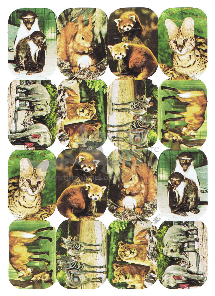 Kruger 98.150 zoo animals.jpg