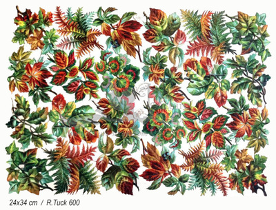 R.Tuck 600 leafs.jpg