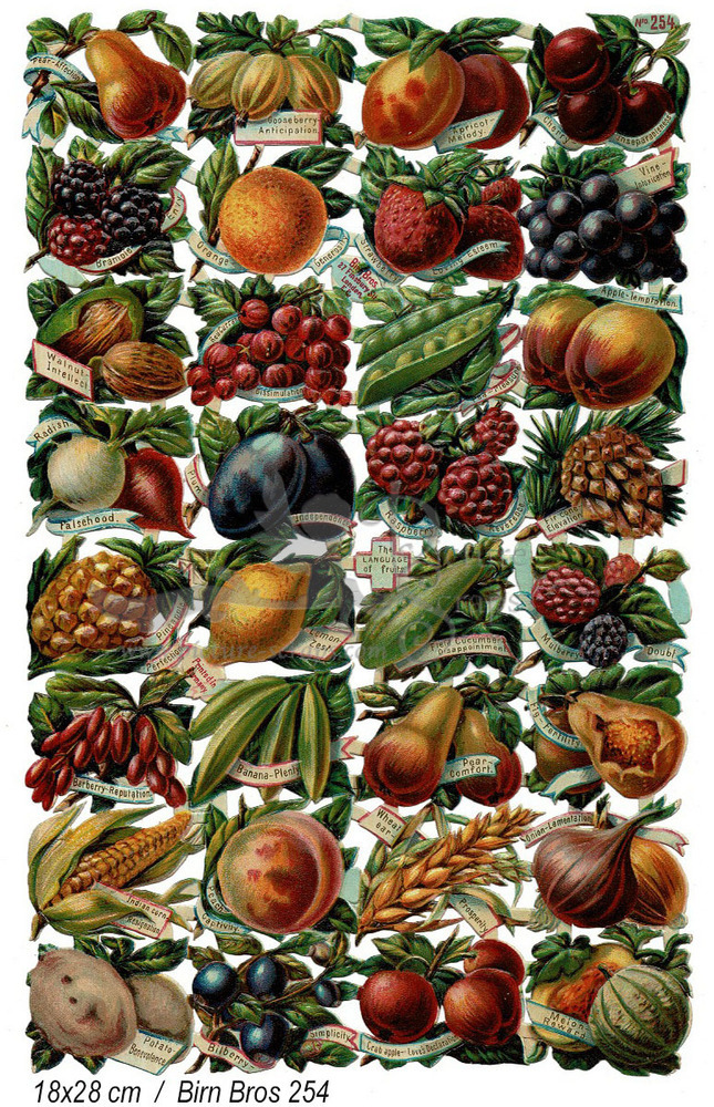 BB 254 fruits.jpg