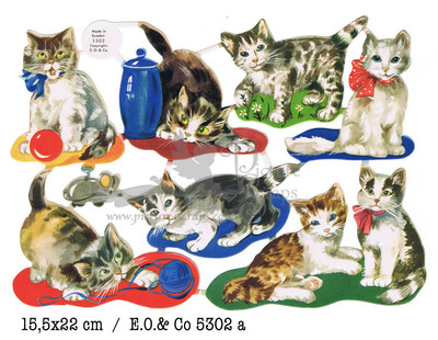 EO 5302 a cats.jpg