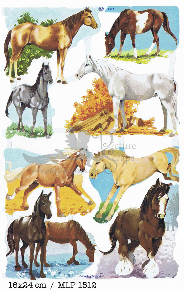 MLP 1512 horses.jpg