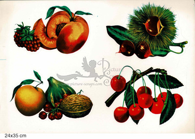 Rekos fruits nuts.jpg
