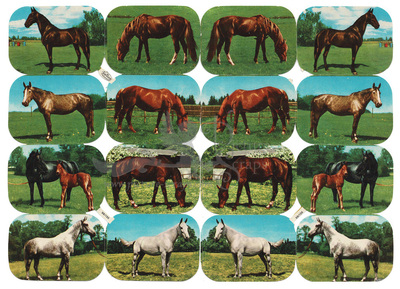 Kruger 98.136 horses.jpg