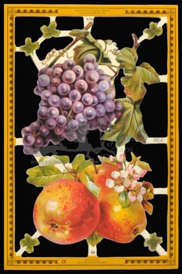 MLP A 144 fruits.jpg