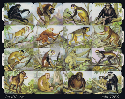 MLP 1260 full sheet monkeys.jpg