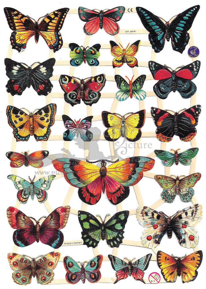 EF 7324 butterflies.jpg