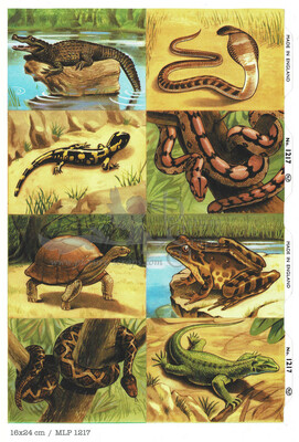 MLP 1217 b reptiles.jpg