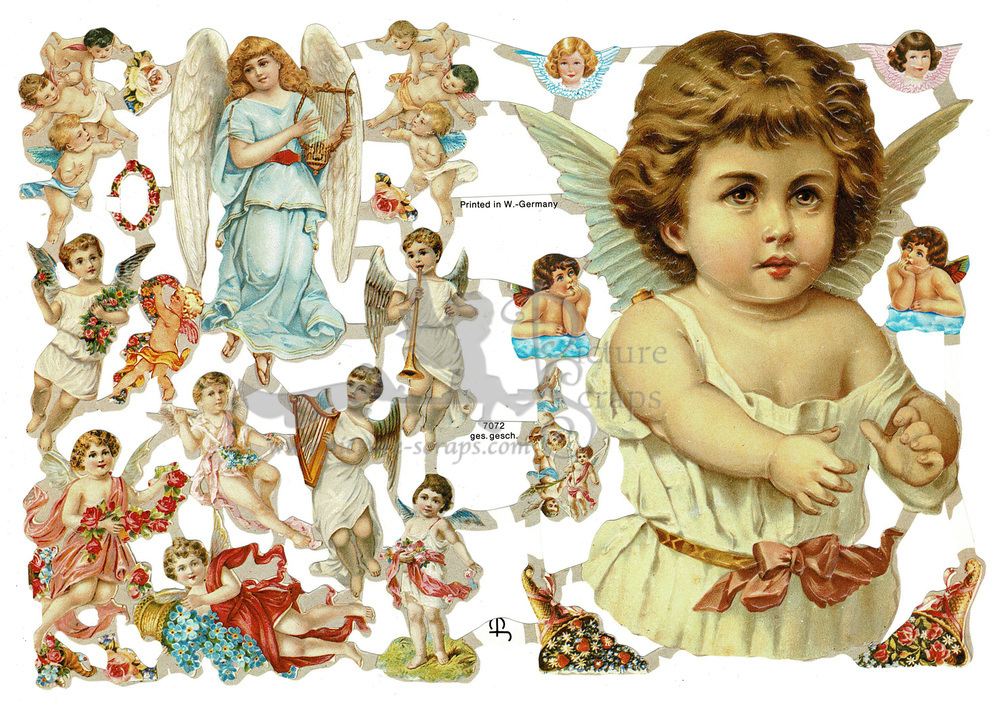 EF 7072 Baby Angels.jpg