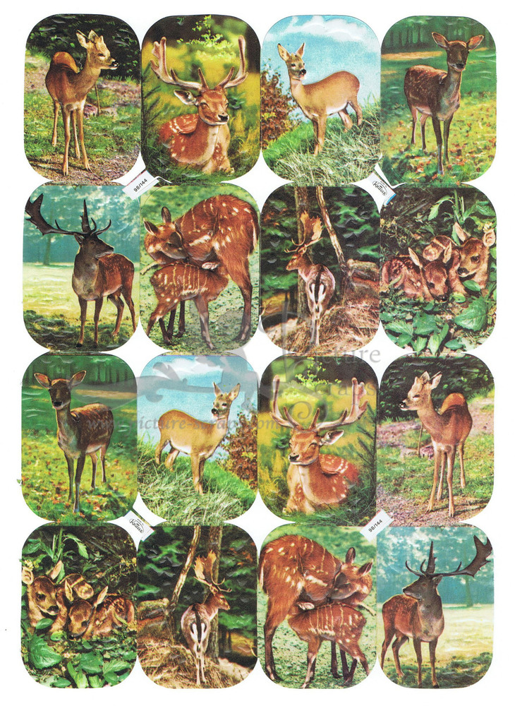 Kruger 98.144 deers.jpg