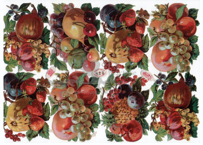 R.Tuck 823 fruits.jpg