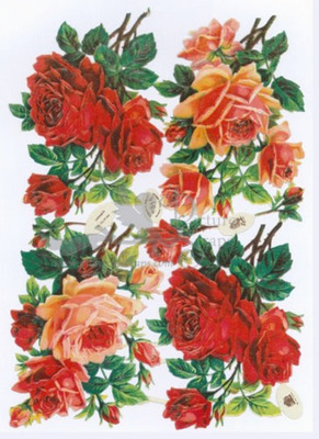 R.Tuck 844 roses.jpg
