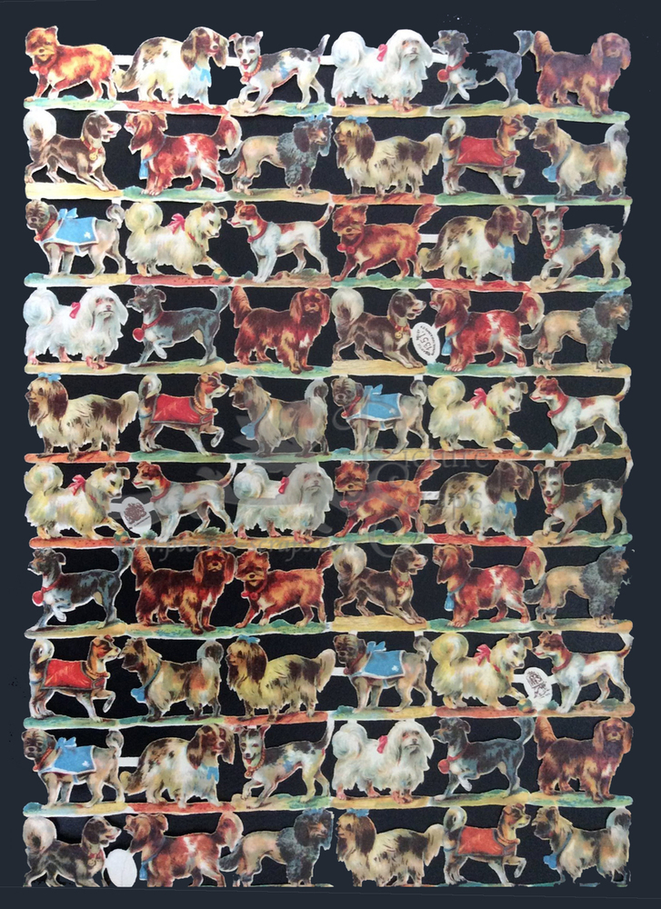 R.Tuck 1351 dogs.jpg
