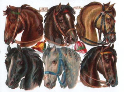 mp 2048 horses.jpg