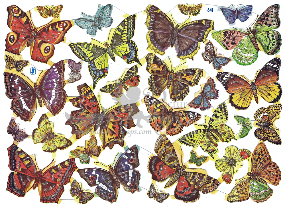 WS 641 butterflies.jpg