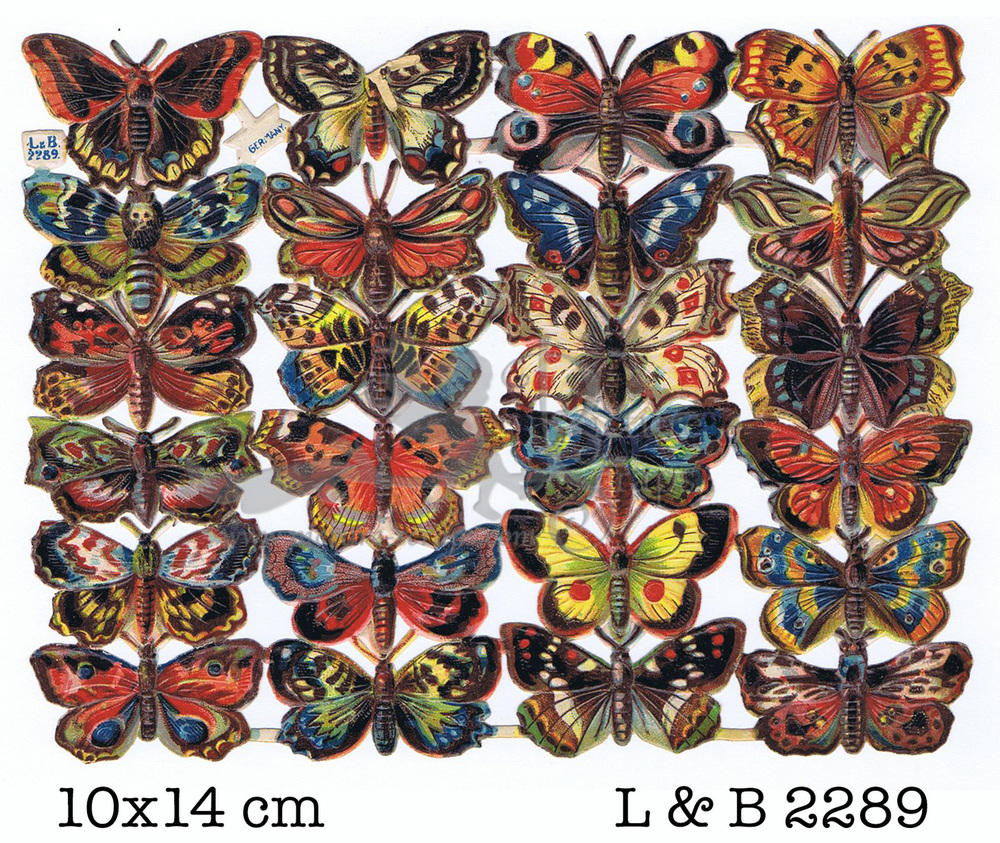 L&B 2289 butterflies.jpg