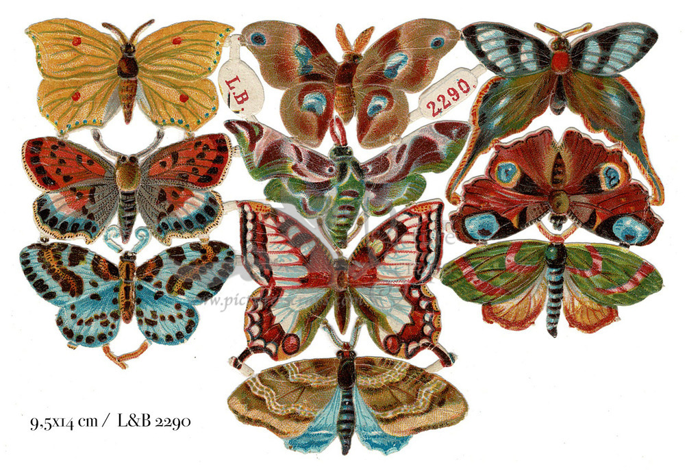 L&B 2290 butterflies 5x4inch.jpg