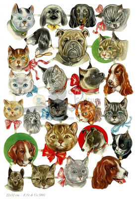EO 5801cats and dogs heads.jpg