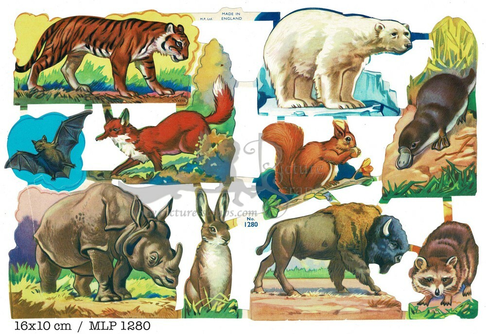 MLP 1280 wild animals.jpg