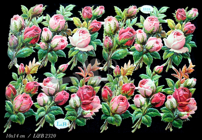 L&B 2320 roses 10 x 14 cm.jpg